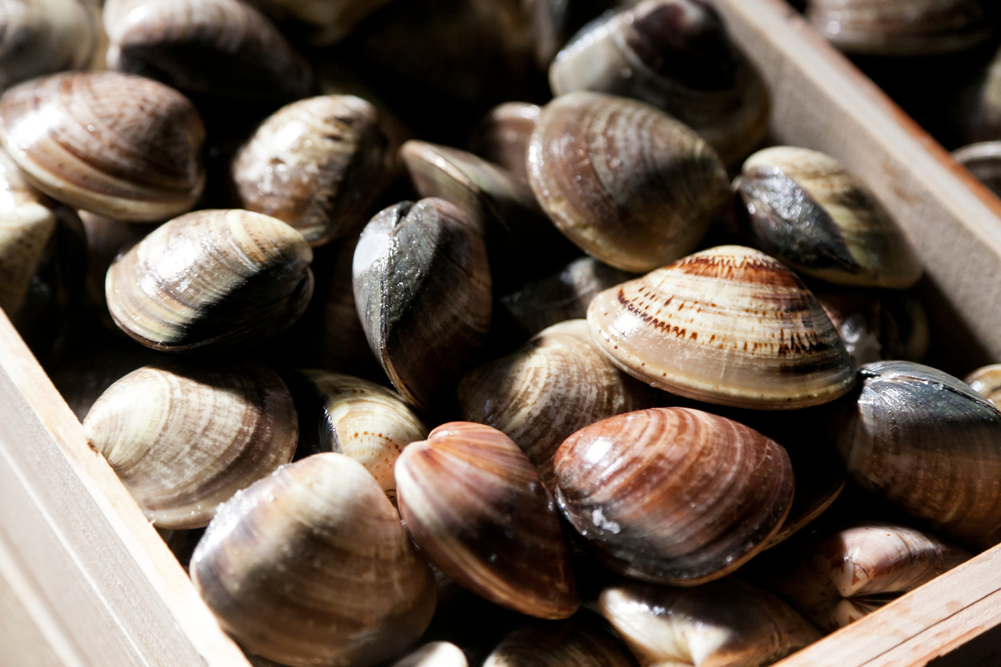 輸入蛤2kg(大上)+輸入蛤1kg(大大)