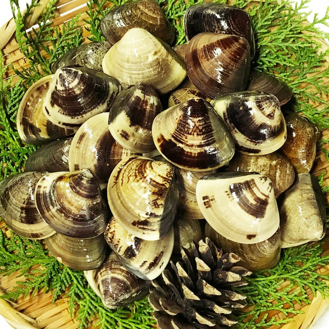 マルヨシ水産 公式オンラインショップ